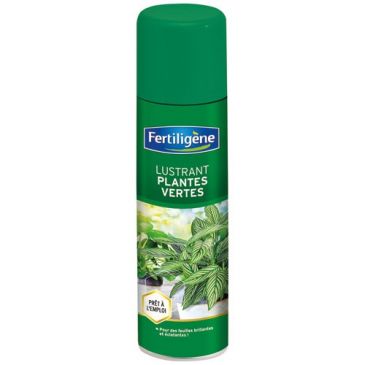 Aérosol lustrant plantes vertes 200ml
