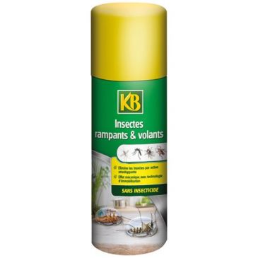 Aérosol volants rampants sans insecticide 300ml