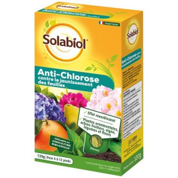 Anti chlorose Ferrostrène 120g