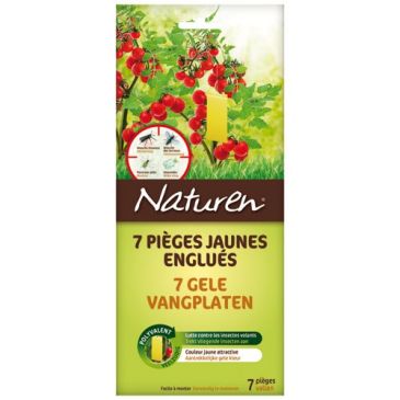 Anti puceron biologique pièges englués x7