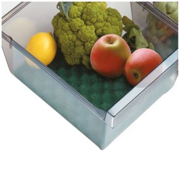 Base conservante pour bac à frigo 47 x 30 cm