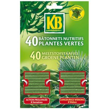 Bâtonnet - nutritifs pour plantes vertes - lot de 40