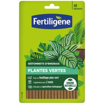 Bâtonnets plantes vertes UAB x 40