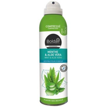 Boldair désodorisant compressé menthe et aloe 250 ml