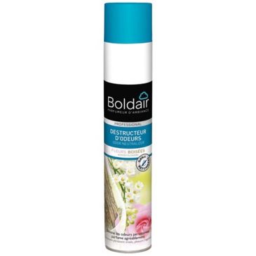Boldair destructeur d'odeurs fleurs boisées 500 ml