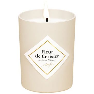 Bougie fleur de cerisier 75g