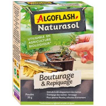 Bouturage repiquage uab 20 g
