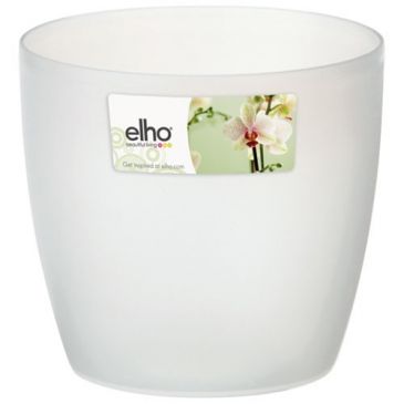 Cache-pot orchidée Brussels d.12.5cm transparent