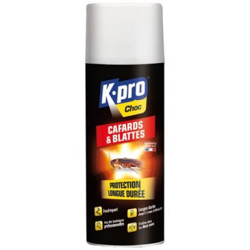 Bombe foudroyant - cafards et blattes - 400 mL 