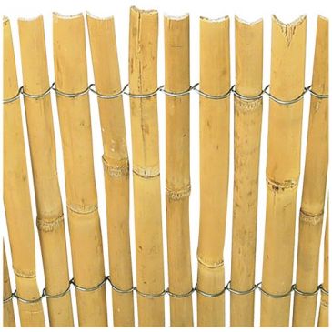 Canisse roseau fil galv.2m x5m 170992