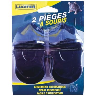 Carte de 2 pièges souris appâtés