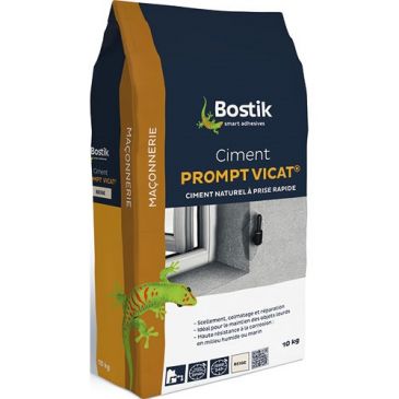 Ciment prompt Vicat 10kg
