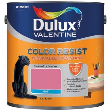 Color resist mur bois mat 2.5l ultra rose