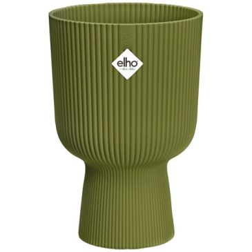 Coupe Vibes Fold d.14 cm vert fougère