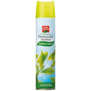 Destructeur d'odeurs BF aérosol 300 ml