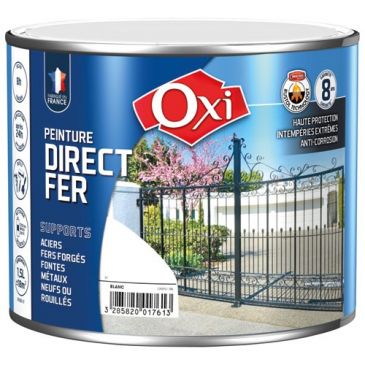 Peinture 0,25 L Brillante Direct Fer - Blanc RAL 9010