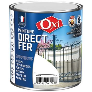 Peinture 0,25 L Brillante Direct Fer - Noir RAL 9005