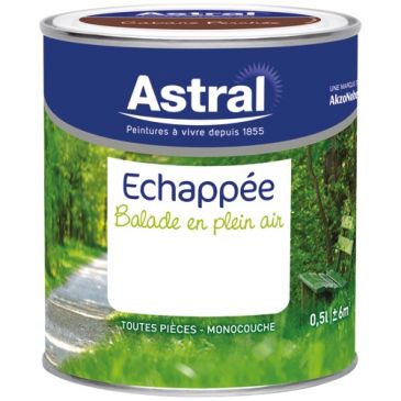 Peinture 0.5 L Echappée Satin - Brindille