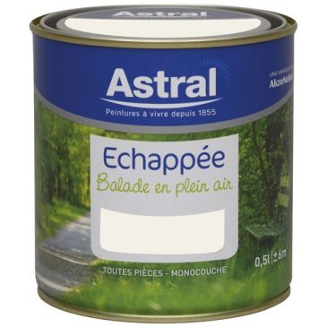 Peinture 0.5 L Echappée Satin - Oxygène