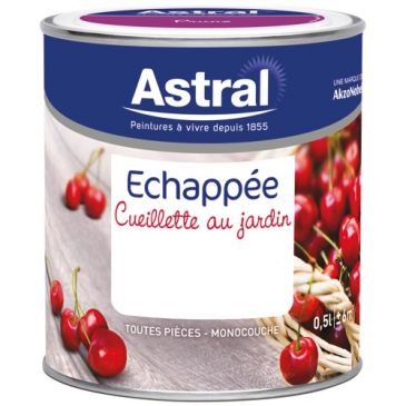Peinture 0.5 L Echappée Satin - Toile de Jute
