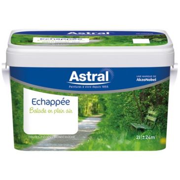 Peinture 2 L Echappée Satin - Accrobranche