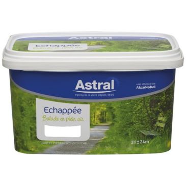 Peinture 2 L Echappée Satin - Base Clear