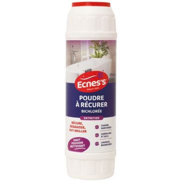 Ecness poudre récurer bichlorée 1 kg