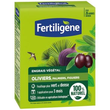 Engrais oliviers figuiers palmiers UAB 650g