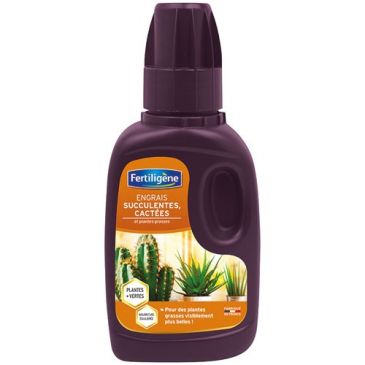 Engrais succulentes cactées 250ml