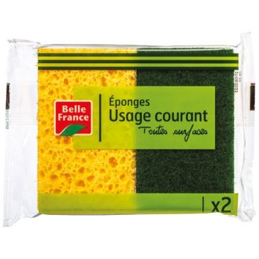 Eponge grattante usage courant X 2 BF