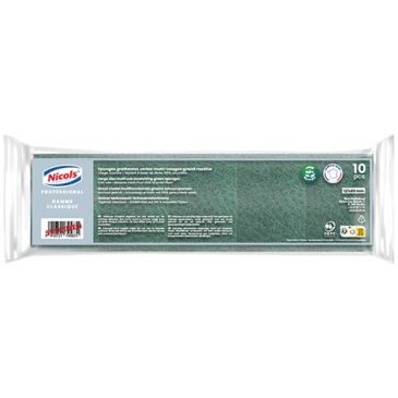 Eponge grattante verte multi-usage grand modèle x 10