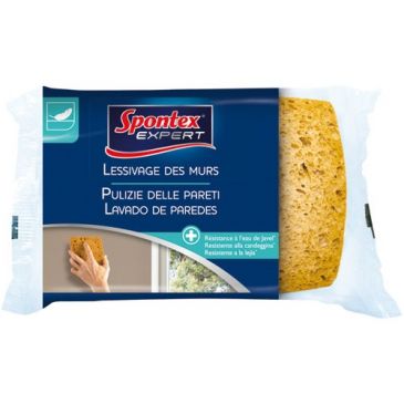 Éponge pour lessivage des murs