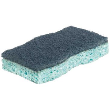Eponges pro clean x 2
