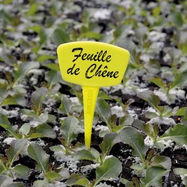 Etiquette à planter lot de 10 Label 15