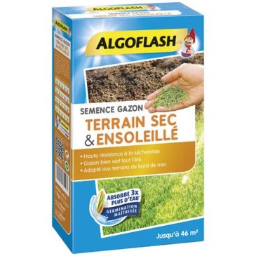 Gazon terrain sec ensoleillé 1kg
