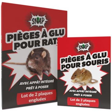 Glu anti rats Rakao lot de 2 plaques