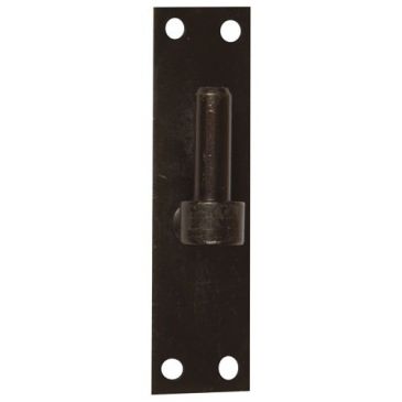 Gond sur platine bout droit - D16 - H 120 mm - 40 x 3 mm - noir