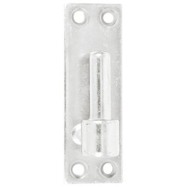 Gond sur platine bout droit - D16 - H 120 mm - 40 x 3 mm - zingué blanc