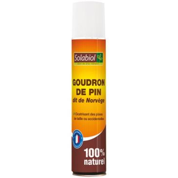 Goudron de pin aérosol 200ml
