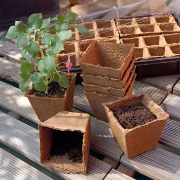 Growing Pot 18 pots ø8cm 100% biodégradable