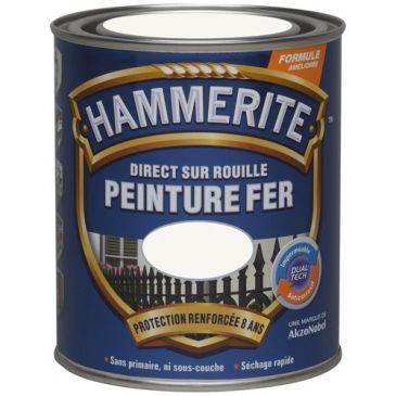 Peinture fer 0,75 L Brillant Laqué - Noir