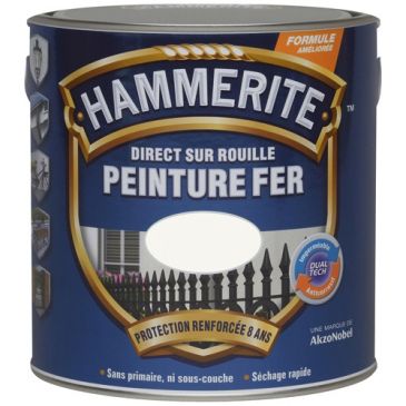 Peinture fer 2,5 L Brillant Laqué - Noir