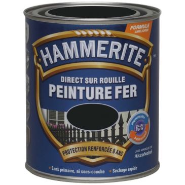 Peinture fer 0,75 L Satin - Noir