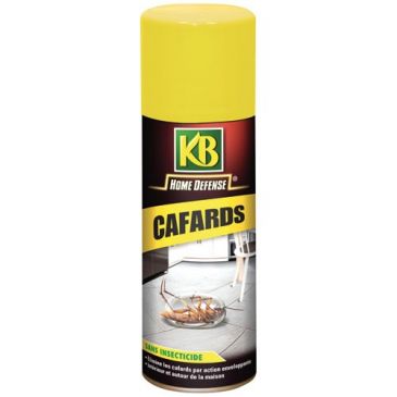 Home défense aérosol cafards sans insecticide 300ml