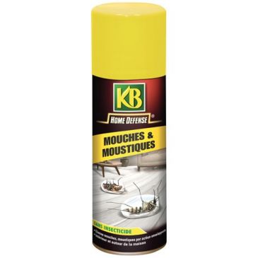 Home défense aérosol mouches mousse ss insect. 300ml
