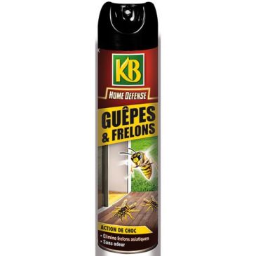 Home défense guêpes frelons 400ml
