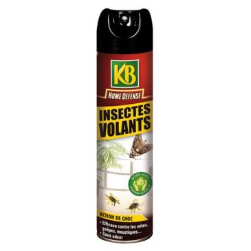 Home défense insectes volants 400ml
