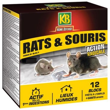 Home defense rat souris blocs 12x20g