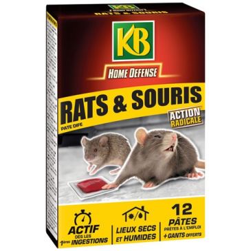 Appât - rat et souris - lieux secs et humides - lot de 12 pâtes