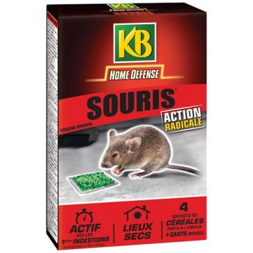 Home defense souris céréales 4x25g